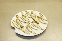 Large_2017_Teller_Biss_Fisch