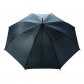 Thumb_P850044_3