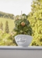 Thumb_2017_500ml_Lachend_Tomate_001