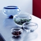 Thumb_4574_1
