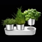 Thumb_auerhahn_doniczka_herbs_UMBRA_XD_DESIGN_XD_MODO_CONTENTO_THULE_WATERMAN_MULLO_DEKORACJE_WN_TRZA_PREZENTY_UPOMINKI_PROMOCJA_OKAZJA_2