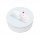Thumb_T040305_Blechdose_Das_Suesse_Leben_TinBox_SweetLife_01