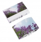 Thumb_kartki_z_nasionami_lawendy_mullo-pl