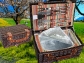 Thumb_204_0020_a