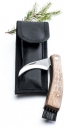Nóż kozik do grzybów w pokrowcu  - SAGAFORM - 5017685