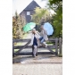 Thumb_V4215_A