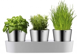 Large_trio_na_zio_a_mullo-pl