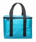 Torba termiczna mała PICNIC 23x16x19 cm SAGAFORM - SA501743