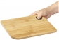 Thumb_11287300_E1